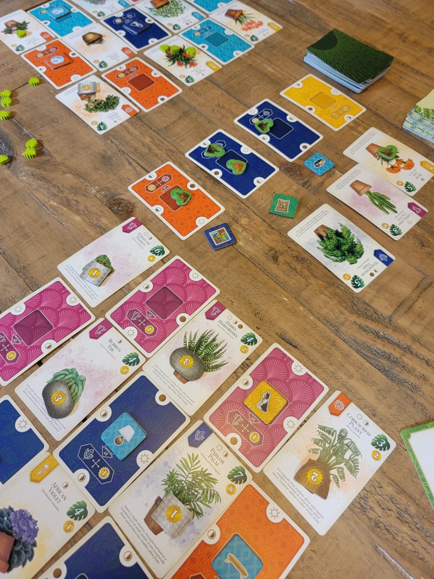 verdant board game being played