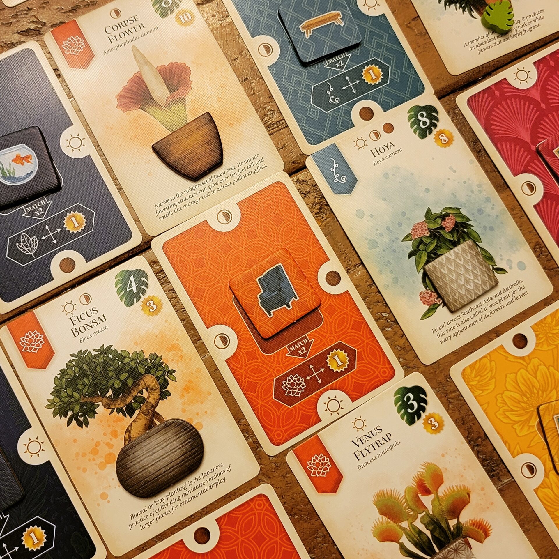 verdant board game cards