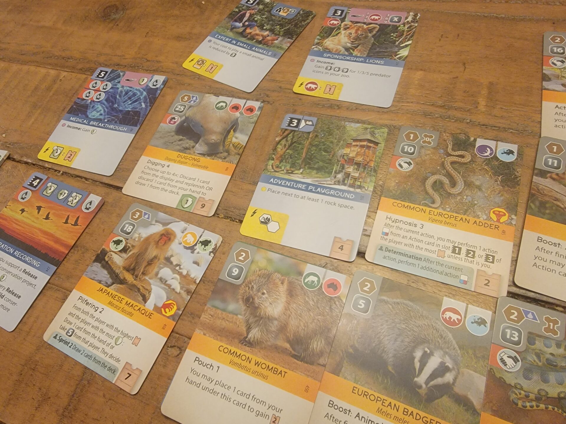 Ark Nova Zoo Cards on table.