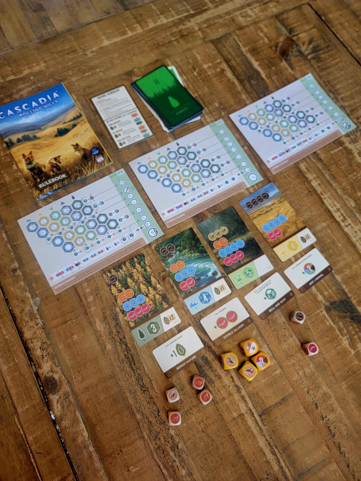 Cascadia Rolling Rivers board game