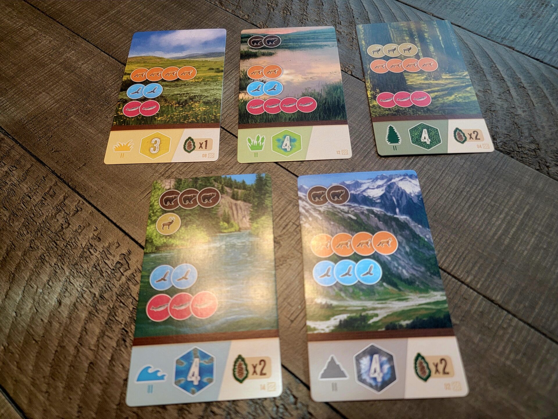 Cascadia Rolling board game cards